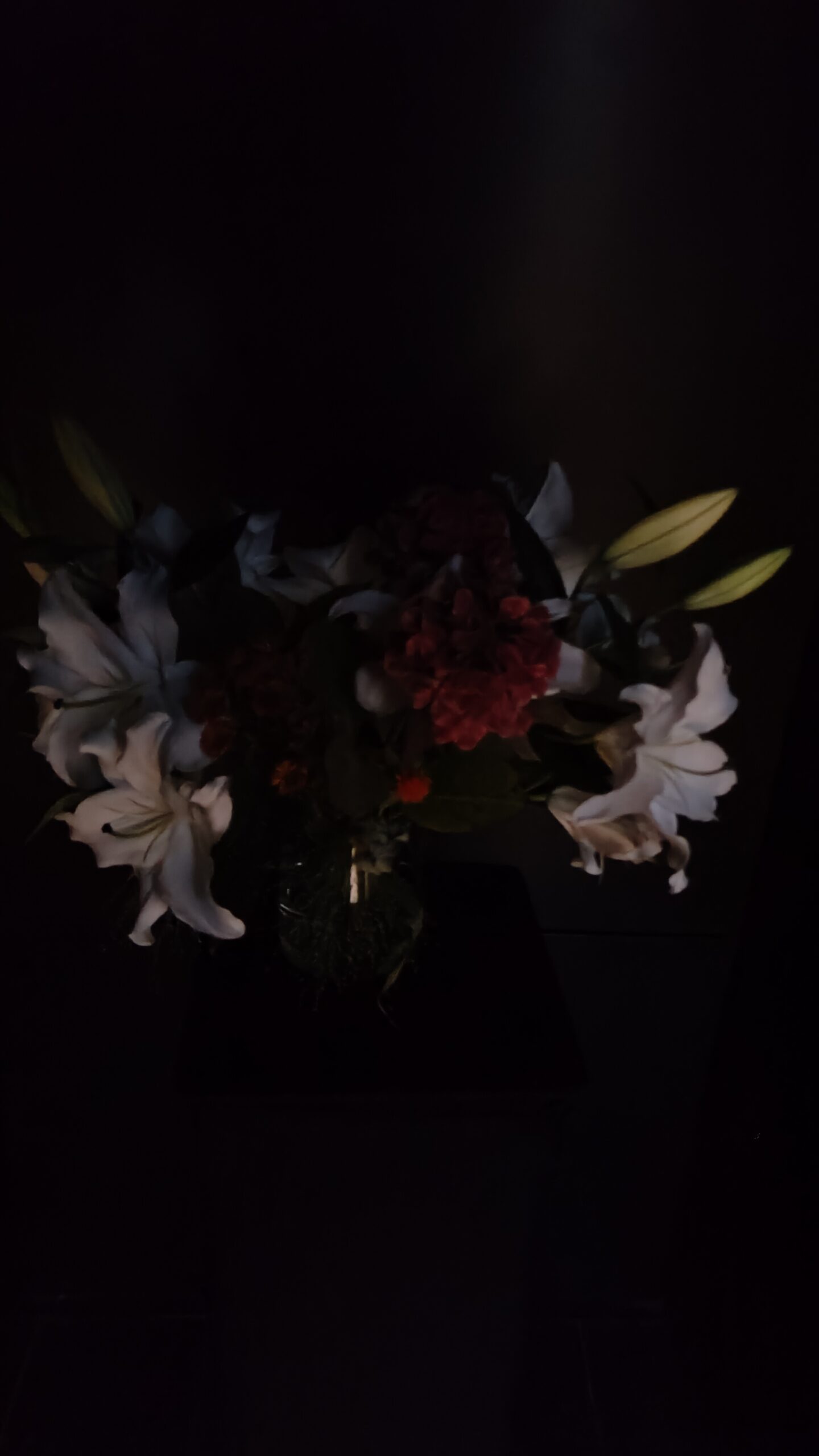 Poza facuta cu Realme GT2 Pro în Dark Room