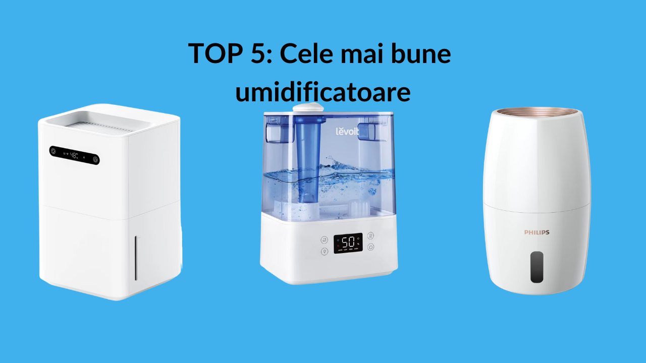 トップ5：最高の加湿器