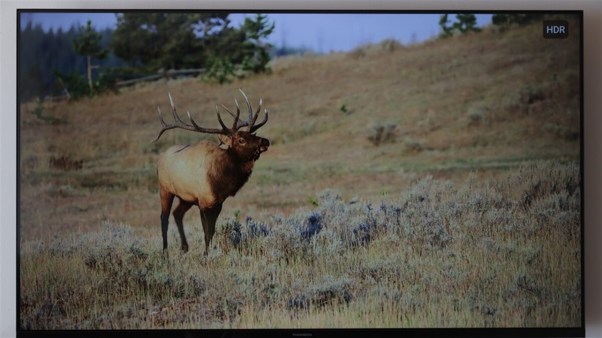 Calitatea imaginii pe smart TV-ul Thomson 55UG4S14