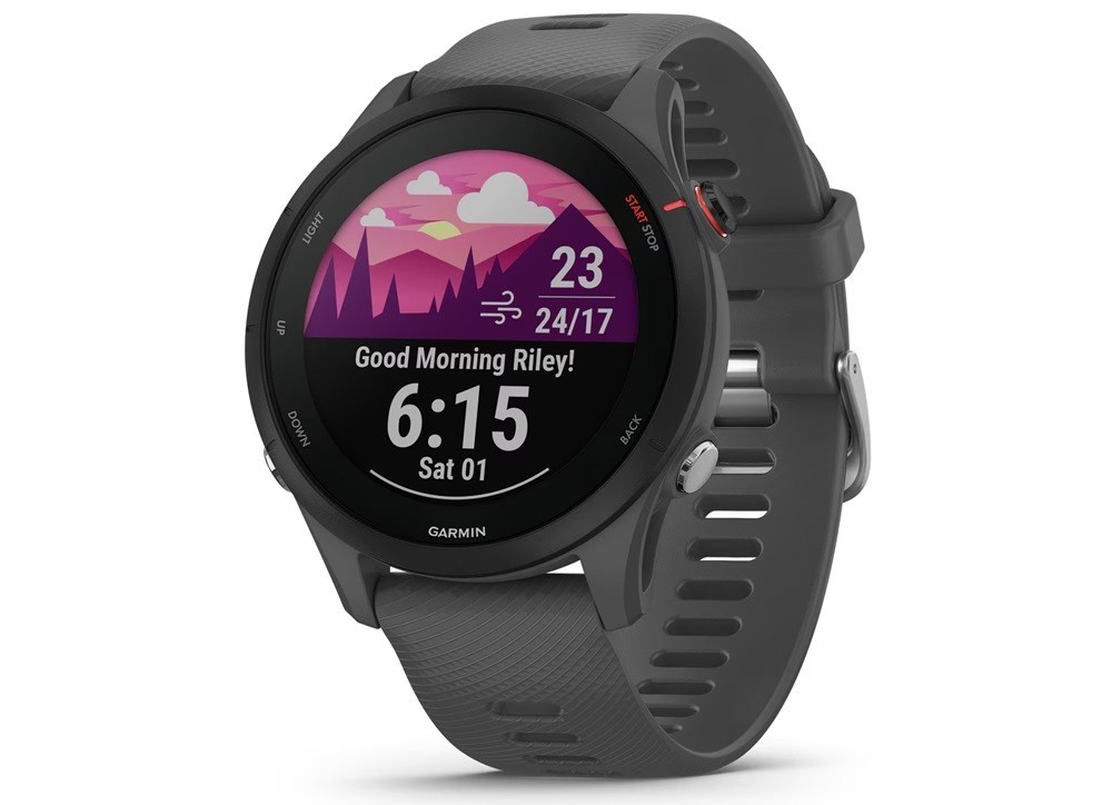 Smartwatch Garmin Forerunner 255